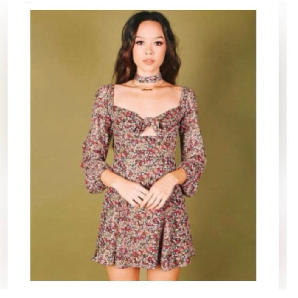 Valfre Floral Mini Dress size Small